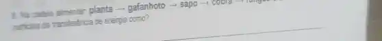 3. Na cadeia alimentar planta -gafanhoto ­­­­→ sapo-cobra - lange
purticipa da transferéncia de energia como?