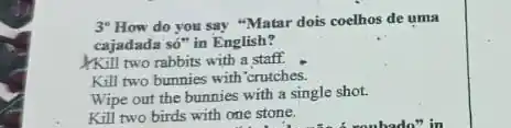 3" How do you say "Matar dois coelhos de uma
cajadada số" in English?
Kill two rabbits with a staff.
Kill two bunnies with crutches.
Wipe out the bunnies with a single shot.
Kill two birds with one stone.