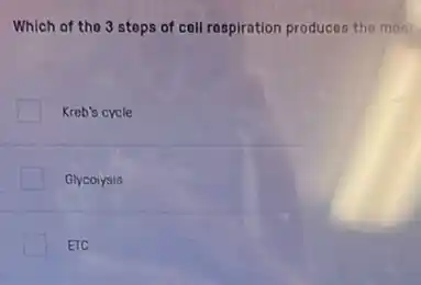 Which of the 3 steps of cell respiration produces the most
Kreb's cycle
Glycoiysis
ETC