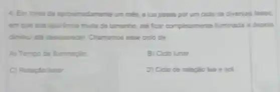 4. Em tomo de aproximadamente um més, a lua passa por um ciclo de diversas fases.
em que sua aparéncia muda de tamanho, ate ficar completamente luminada d depois
diminui ate desaparecer.Chamamos esse ciclo de:
A) Tempo de luminaçǎo
B) Ciclo lunar.
C) Rotação lunar
D) Ciclo de relação lua e sol