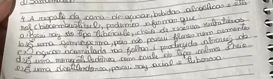 4. A respato da cama-de acucar, bobidas alcosílicas e ela nol chiocembuatíce l, podemios afirmar que:
a) Bseui raiz sto tipo tiberculo, whoio de resorves nultatíreas
b) (1)/(8) uma gimnoperma, pois nas possui flones nem somentos.
e) agucar acumulado no folhas é produzide atroreé do
d) (6)/(6) uma mongcól ledónea com cnele do lipo colmo cheio.
e) (6)/(6) uma diectlendona, possui raiz axial e tuborosa.