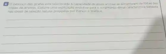 4	relacionado à c capacidade Jade de esses animais se alimentarem de folhas das
copas de árvores. Elabore uma explicação lutiva para o surgimento dessa característica baseada
nas ideias de seleção natural propostas por Darwin e Wallace.
__