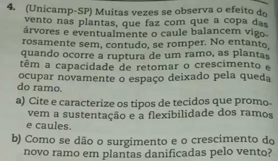 4.Unicamp-SP)Muitas vezes se observa o efeito do
vento nas plantas, que faz com que a copa das
árvores e ualmente o caule balancem vigo
rosamente sem , contudo, se romper. No entanto.
quando ocorre a ruptura de um ramo, as plantas
têm a capacida de de retomar o crescimento e
ocupar novamente o espaço deixado pela queda
do ramo.
a) Cite e caracterize os tipos de tecidos que promo-
vem a sustentac :ão e a flexibilid ade dos ramos
e caules.
b) Como se dão o surgimento e o crescime ento do
novo ramo em plantas danificadas pelo vento?