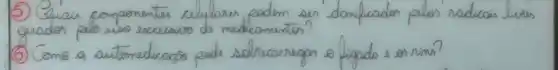 5) Euais componentes celubres eodem ser danificados pelos radicais livtes quados pelo uso excessivo de medicamentos?
(6) Como a automedicacóo pode solrearregon o figado e os rinus?