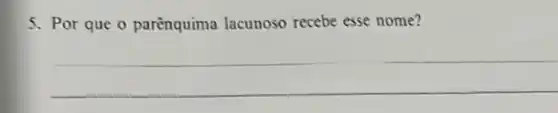 5. Por que o parènquima lacunoso recebe esse nome?
__