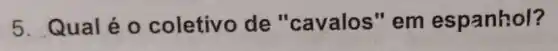 5. Qual é 0 coletivo de "cavalos" em espanhol?