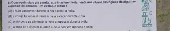 6) Consequência o dia e nolte, que interfere diretamente nos ritmos biológicos de algumas
espécies de animals Um exemplo disso é
(A) o leão descansar durante o dia e caçar a noite.
(B) a coruja hibernar durante a noite e caçar durante o dia.
(C) o morcego se alimentar a noite e repousar durante o dia.
(D) o sapo se alimentar durante o dia e ficar em repouso a noite.