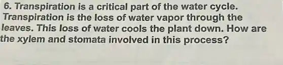 6. Transpiration is a critical part of the water cycle.
Transpiration is the loss of water vapor through the
leaves. This loss of water cools the plant down. How are
the xylem and stomata involved in this process?