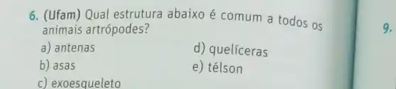 6. (ufam) Qual estrutura abaixo é comum a todos os
animais artrópodes?
a) antenas
d) quelíceras
b) asas
e) télson
c) exoesqueleto
9.