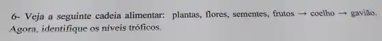 6- Veja a seguinte cadeia alimentar plantas, flores , sementes, frutos ­­­­→ coelho gavião.
Agora , identifique os niveis tróficos.