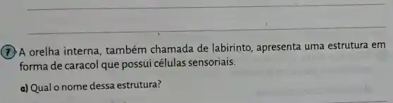 (7) A orelha interna , também chamada de labirinto , apresenta uma estrutura em
forma de caracol que possui células sensoriais.
a) Qual o nome dessa estrutura?