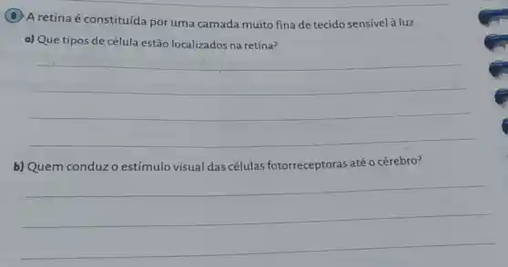 (8) A retinaé constituída por uma camada muito fina de tecido sensível à luz.
a) Que tipos de célula estão localizados na retina?
__
b) Quem conduz o estímulo visual das células fotorreceptoras até o cérebro?
__