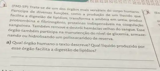 83888383 sala
(FM]-SP) Trata-se de um dos órgãos mais versáteis do corpo humano
3. (En
Participa de diversas funções, como a produção de um líquido que
facilita a digestão de lipidios; transforma a amônia em ureia:produz
protrombina e fibrinogênio, proteínas indispensáveis na coagulação
sanguínea. Também remove e destró hemácias velhas do sangue. Esse
órgão também participa na manutenção do nível de glicemia, armaze-
nando ou hidrolisando um polissacarídeo de reserva.
a) Qual órgão humano o texto descreve? Qual líquido produzido por
esse órgão facilita a digestão de lipídios?
__