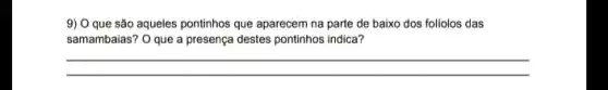 9) O que são aqueles pontinhos que aparecem na parte de baixo dos folíolos das
samambaias? O que a presença destes pontinhos indica?
__