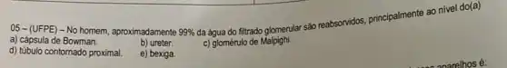 99% 
da água do filtrado glomerular são reabsorvidos principalmente ao nivel do(a)
05-(UFPE) - No homem, aproximadamente
a) cápsula de Bowman.
b) ureter.
c) glomérulo de Malpighi.
d) túbulo contomado proximal.
e) bexiga.