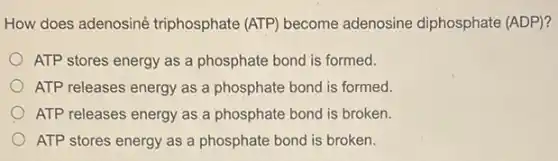 How does adenosiné triphosphate (ATP) become adenosine diphosphate (ADP)?
ATP stores energy as a phosphate bond is formed.
ATP releases energy as a phosphate bond is formed.
ATP releases energy as a phosphate bond is broken.
ATP stores energy as a phosphate bond is broken.