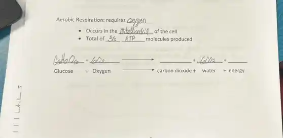 Aerobic Respiration:requires __
Occurs in the __ of the cell
Total of __ molecules produced
8doos+60x-+140c++
Gloosse +O_(1)ger arrow Carbondionide+water+energy