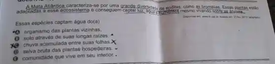 A.Mata Atlântica se por uma grande como as bromélias. Essas plantas estão
adaptadas a esse ecossistema e conseguem grande diversidade	vivendo sobre as anyores.
Disponivel em: www.ib usp.br. Acesso em 23 fev. 2013 (adaptado)
Essas espécies captam água do(a)
organismo das plantas vizinhas.
(B) solo através de suas longas raizes.
chuva acumulada entre suas folhas.X
(D) seiva bruta das plantas hospedeiras.
(3) comunidade que vive em seu interior.