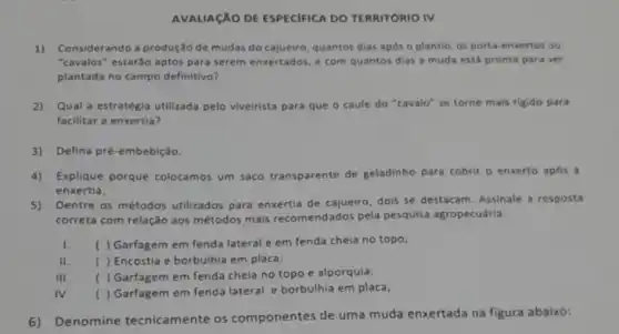 AVALIACÁO DE ESPECIFICA DO TERRITORIO IV
1)Considerando a produção de mudas do cajueiro quantos dias após o plantio, os porta-enxertos ou
"cavalos" estarão aptos para serem enxertados, e com quantos dias a muda está pronta para set
plantada no campo definitivo?
2)Qual a estratégia utilizada pelo viveirista para que o caule do "cavalo"se torne mais rigido para
facilitar a enxertia?
3) Defina pré-embebição.
4) Explique porque colocamos um saco transparente de geladinho para cobrir o enxerto apos a
enxertia;
5) Dentre os métodos utilizados para enxertia de cajueiro, dois se destacam Assinale a resposta
correta com relação aos métodos mais recomendados pela pesquisa agropecuária.
I. ( ) Garfagem em fenda lateral e em fenda cheia no topo;
II. ( ) Encostia e borbulhia em placa;
III ( ) Garfagem em fenda chela no topo e alporquia;
IV. ) Garfagem em fenda lateral e borbulhia em placa;
6) Denomine tecnicamente os componentes de uma muda enxertada na figura abaixo: