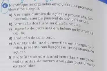 (B) dentifique as organelas envolvidas nos processos
descritos a seguir.
a) A energia química do acúcaré processada for-
necendo energia passivel de uso pela célula.
b) Formação dos fusos na divisão celular.
c) Digestão de proteínas em bolsas no interior da
célula.
d) Produção de colesterol.
e) A energia da luzé convertida em energia qui-
mica, presente nas ligações entre os átomos do
açúcar.
1) Proteinas sendo transformadas empaco-
tadas antes de serem enviadas para
extracelular.