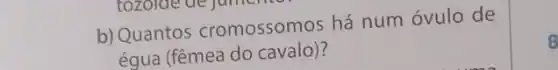 b) Quantos cromossomos há num óvulo de
égua (fêmea do cavalo)?
8