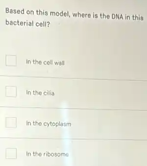 Based on this model where is the DNA in this
bacterial cell?
In the cell wall
In the cilia
In the cytoplasm
In the ribosome