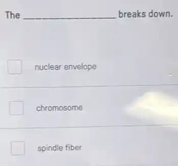 The __ breaks down.
nuclear envelope
chromosome
spindle fiber