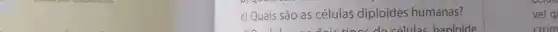 c) Quais são as células diploides humanas?
vel q
crom