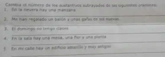 Cambia el número de los sustantivos subrayados de las siguientes oraciones:
1. En la nevera hay una manzana
__
2. Me han regalado un balón y unas gafas de sol nuevas.
__
3. El domingo no tengo clases
__
4. En la sala hay una mesa, una flor y una planta
__
5. En mi calle hay un edificio amarillo y muy antiguo
__