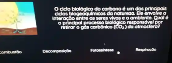 do carbono é um dos principals
natureza. Ele
Interacto entre os seres vivose o omblente.. Qual
Combustão
Decomposição
Fotossintese
Respiração