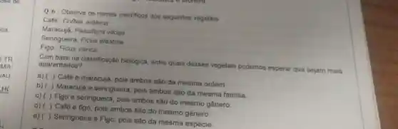 ca.
TR
MA:
JAL)
HC
Observe os nomes cientificos dos seguintes vegetais
Café: Coffea arábica
Maracujá: Passiflora vilosa
Seringueira: Ficus elastina
Figo: Ficus carica
Com base na classificação biológica, entre quais desses vegetais podemos esperar que sejam mais aparentados?
a)( ) Cafée maracujá, pois ambos são da mesma ordem.
b) ( ) Maracujá e seringueira, pois ambos são da mesma familia.
c) ( ) Figo e seringueira, pois ambos são do mesmo gênero.
d) ( ) Café e figo, pois ambos são do mesmo gênero
e) ( ) Seringueira e Figo, pois são da mesma espécie.