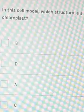 In this cell model which structure is a
chloroplast?
B
D
A
C