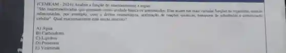 (CEMEAM - 2024) Analise a função do macronutriente a seguir
"São macromoléculas que possuem como unidade básica os aminoácidos. Elas atuam nas mais vanadas funções do organismo, estando
relacionadas, por exemplo, com a defesa imunológica de reações quimicas, transporte de substâncias e comunicação
celular" Qual macronutriente está sendo descrito?
A)Água
B) Carboidrato
C) Lipidios
D) Proteinas
E) Vitaminas