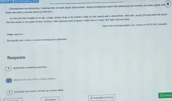 Chimpancees are omnivores, meaning they eat both plants and animals. Young chimpanzees learn from observing their mothers and other adults whil
foods are safe to eat and where to find them.
For the first few months of its life a baby chimp clings to its mother's belly as she travels with it everywhere. After that, young chimpanzees will spend
the next seven to ten years at their mothers' sides learning how to groom, make nests in trees, find food and use tools
(https://kuids nstionalpeographic.com
N Acesso em 08.052024 Adaptado)
clings: agarta-se
De acordo com o texto, os jovens chimpanzes aprendem
Resposta:
A explorando a natureza sozinhos
observando suas maies o outros adultos
C
brincando com outros animals da mesma idade
(c)
