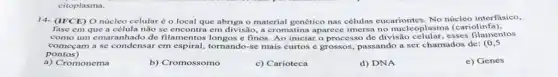 citoplasma.
14- (IFCE) O núcleo celular é o local que abriga o material genético nas células eucariontes. No núcleo interfásico,
fase em que a célula não se encontra em divisão, a cromatina aparece imersa no nucleoplasma (cario)
como um emaranhado de filamentos longos e finos. Ao iniciar o processo de divisão celular, esses filamentos
pontos)
começam a se condensa em espiral, tomando-sc mais curtos e grossos, passando a ser chamados de (0,5
a) Cromonema
b) Cromossomo	c) Carioteca
d) DNA
e) Genes