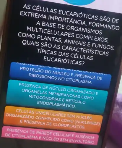 AS CÉLUL AS EUC ARIÓ TICAS S A O DE
EXTR EMA IMPO RTANC IA, FO RMANDO
A BAS E DE O RGAN ISMOS
MULTI CELULA RES CO MPLEX OS.
COMO PL ANTAS , ANIM AIS E FUNGOS.
QUAIS S ÁO AS CARA CTER ISTI CAS
TÍPIC AS DA S CÉLULAS
EUCARIOTI CAS?
PROTECÁO DO NÚCLEO E PRESENCA DE
RIBOSSOMOS NO CITOPLASMA.
PRESENCA DE NUCLEO ORGANIZADO E
ORGANEL AS MEMBRANOSAS COMO
MITOCONDRIAS E RETICULO
ENDOPLASMÁTICO.
C&LULAS UNICELULARES SEM NUCLEO
ORGA NIZADC CONHECIDO COMO (NUCL EOIDE)
E PRESENCA DE CLOROPLASTOS.
PRESENCA DE PAREDE CELULAR E AUSENCIA
DE CITOPLASMA E NUCLEO SEM ENVOL TORIO