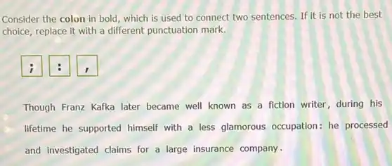 Consider the colon in bold, which is used to connect two sentences. If it is not the best choice, replace it with a different punctuation mark.
Though Franz Kafka later became well known as a fiction writer, during his lifetime he supported himself with a less glamorous occupation: he processed and investigated claims for a large insurance company.