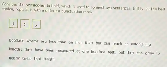 Consider the semicolon in bold, which is used to connect two sentences. If it is not the best choice, replace it with a different punctuation mark.
Bootlace worms are less than an inch thick but can reach an astonishing length; they have been measured at one hundred feet, but they can grow to nearly twice that length.