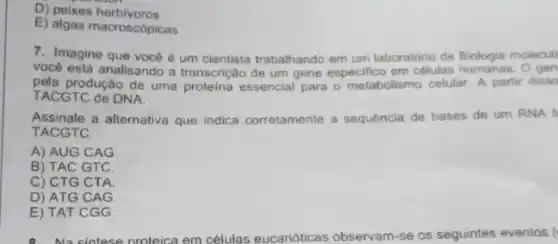 D) peixes herb ivoros
E) algas macroscôpicas
7. Imagine que vocée um cientista trabalhando em um laboratório de Biologia molecule
vocé está analisando a transcrição de um gene especifico em células O gen
pela produção de uma essencial para o metabolismo celular. A partir disso
TACGTC de DNA.
Assinale a alternativa que indica corretamente a sequencia de bases de um RNA f
TACGTC.
A) AUG CAG.
B) TAC GTC.
C) CTG CTA
D) ATG CAG
E) TAT CGG.
Na cintese nroteica em células eucarióticas observam -se os seguintes eventos