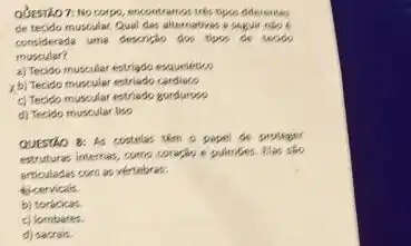 de tecido muscular, Qual des altemabras o seguir nibs & considerads uma descricho dos tipos de tecido muscular?
a) Tecido muscular estriado esqueletico
b) Tecido muscular estriado cardiaco
c) Tecido muscular estriado gorduroso
d) Tecido muscular liso
QUESTho 8: As costelas ten o pepel de protaser atriolades cone as vertutbras:
b) torbicios.
c) lombares.
d) sacrais.