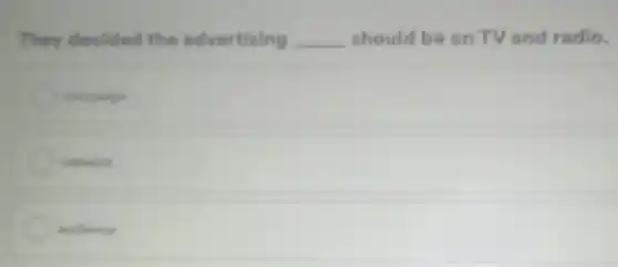 They decided the advertising __ should be on TV and radio.
campaign
network
audience