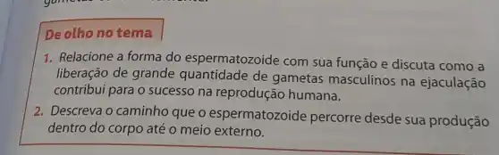 Deolho no tema
1. Relacione a forma do espermatozoide com sua função e discuta como a
liberação de grande quantidade de gametas masculinos na ejaculação
contribui para o sucesso na reprodução humana.
2. Descreva o caminho que o espermatozoide percorre desde sua produção
dentro do corpo até o meio externo.