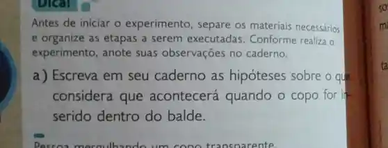 DICK
Antes de iniciar o experimento , separe os materiais necessários
e organize as etapas a serem executadas . Conforme realiza o
experimento , anote suas observações no caderno.
a ) Escreva em seu caderno as hipóteses sobre o que
considera que acontecerá quando o copo for it
serido dentro do balde.
so
m
ta