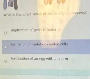 What is the direct result of this biological process?
duplication of genetic material
formation of mutations within cells
fertilization of an egg with a sperm