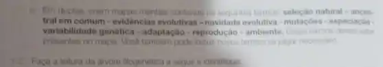 Em duplas, criem mapas mentais contendo o:seguintes termos natural - ances-
tral em comum evidências evolutivas -novidade evolutiva -mutaçóes - especiação -
variabilidade genética - adaptação -reprodução - ambiente . Easen termos devem entar
presentes no mapa Você também pode termos se julgar necessario
Faça a teitura da arvore flogenetica a seguir e identifique: