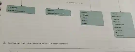 - Encéfalo
- Gänglios nervosos
- Medula espinhal
- Nervos
Othos
- Orelhas
- Nariz
- Lingua
- Pele
- Pineal
- Hipotálamo
- Hipófise
- Tireoidea
- Paratireoidea
- Pâncreas
- Adrenais
- Ovários
- Testiculos
1.Escreva um texto sintese com as palavras do mapa conceitual.