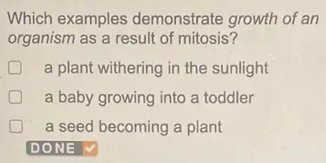 Which examples demonstrate growth of an
organism as a result of mitosis?
D a plant withering in the sunlight
a baby growing into a toddler
a seed becoming a plant