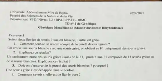 Exercice 1
Département SBE/Niveau L2 : BPA-BPV-EE-HBMC
TD n? 2 de Génétique
Génétique Mendélienne (Monohybridisme Dihybridisme)
Soient deux lignées de souris, l'une est blanche l'autre est grise.
1. Comment peut-on se rendre compte de la pureté de ces lignées ?
On croise une souris blanche avec une souris grise; on obtient en F1 uniquement des souris grises.
2. Expliquez ce résultat?
Un croisement entre des souris grises issues de la F1, produit une F2 composée de 13 souris grises et
de 4 souris blanches Expliquez ce résultat?
3. Doit-on s'assurer de la pureté des souris blanches ? pourquoi ?
Une souris grise s'est échappée dans le couloir.
4. Comment savoir sielle est de lignée pure ?