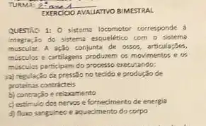 EXERCIOO AVALLATTVO BIMESTRAL
QUESTIO 1: 0 sistema corresponde à
integração do sistema escueletico com o sistema
muscular.A ação conjunta de ossos, articular;Ses,
músculos e cartilagens produzem os movimentos e a
mixtulas participam do processo executando:
ja) regulação da pressic no tecido e produção de
proteinas contricteis
b) contração e relaxamento
c) estimulo dos nervos e fornecimento de energia
d) funo sanguineo e aquedmento do corpo