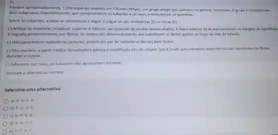 Existem aproximadamente, 1200 espécies viventes em Chondrichthyes, um grupo antigo que apareceu no periodo Devoniano. O grupo é composto por
dois subgrupos Elasmobranchii, que compreendem os e as raias, e Holocephali, as quimeras.
Sobre os tubarōes analise as afirmativas a seguir e julgue se são verdadeiras (V) ou falsas (F):
( ) Ambos os maxilares (maxilas), superior e inferior, são providas de muitos dentes afiados. A fileira anterior de dentes funcionais na margem da mandibula
é seguida posteriormente por fileiras de dentes em desenvolvimento que substituem os dentes gastos ao longo da vida do tubarão.
( ) Não apresentam nadadeiras peitorais,porém um par de nadadeiras dorsais bem fortes.
( ) Nos machos, a parte medial da nadadeira pélvica é modificada em um clásper, que é usado para introduzir esperma no trato reprodutivo da fêmea
durante a cópula.
( ) Diferente das raias os tubaróes não apresentam escamas.
Assinale a alternative correta
Selecione uma alternativa:
a) V-V-F V.
b) F-V-V-F.
c) V-F-V-F.
d) V-V-F-F.
e) F-F-V.F.